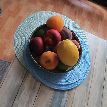 Bettatur Placa De L'oli *